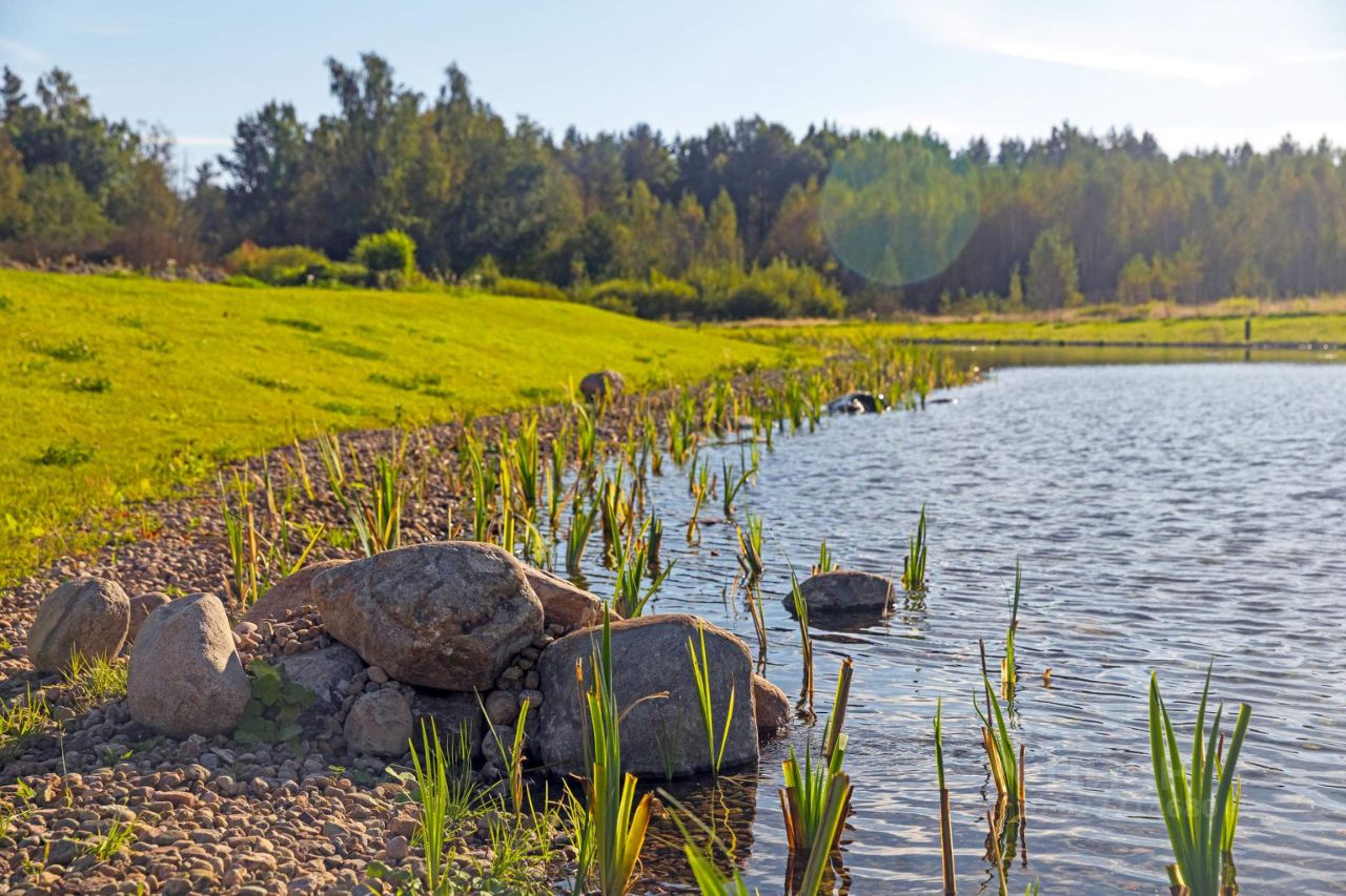 Продажа земли Репинское кп, пос. Ленинское