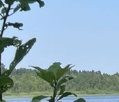 Продать Дачи, коттеджи, загородные дома д. Заозерье, улица Центральная, 2   