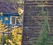 Продать Дачи, коттеджи, загородные дома Мшинская садоводческий массив, Краностроитель СНТ  101 