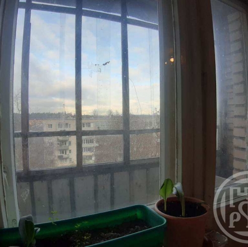 2-комн квартира Кузнечное пос., Гагарина ул. ,  д. 4