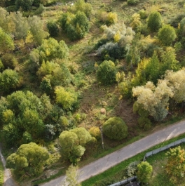 Продажа земли Красное Село г., Полевая ул. , д. 21 Продажа земли Красное Село г., Полевая ул. , д. 21