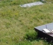 Продать Земельные участки, земля Семейные ценности кп, 264   