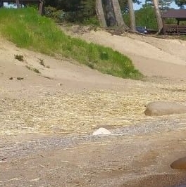 Продажа дома пос. При железнодорожной станции Ириновка, шоссе Ленинградское, д. 17 Продажа дома пос. При железнодорожной станции Ириновка, шоссе Ленинградское, д. 17