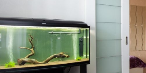 2-комн квартира Малая Десятинная улица, 11