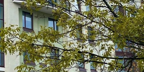 3-комн квартира Офицерский переулок, 8с2