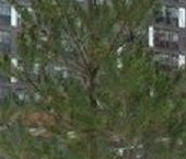 Продать Квартиры вторичка Дальневосточный проспект, 19к1   