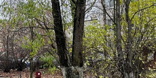 3-комн квартира Дальневосточный проспект, 57К2