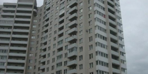 1-комн квартира Вознесенское шоссе,  д. 49,  к. 2В