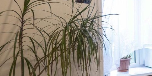 1-комн квартира улица Кибальчича, 14