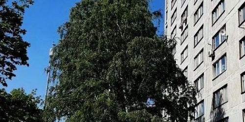 1-комн квартира улица Антонова-Овсеенко, 4