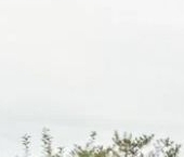 Продать Дачи, коттеджи, загородные дома Пушкин, Волхонское тер., улица Изумрудная  9 