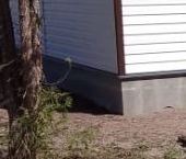 Продать Дачи, коттеджи, загородные дома Мшинская садоводческий массив, Строитель-2 СНТ  173 