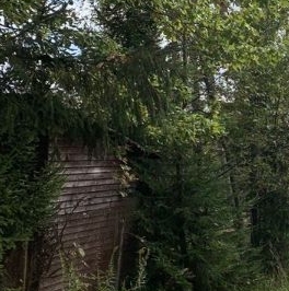 Продажа дома Мшинская садоводческий массив, Гидростроитель СНТ,  д. 86