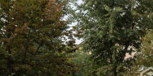 3-комн квартира Васильевская улица, 2к1