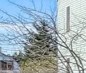 Продать Дачи, коттеджи, загородные дома Синигейка СНТ, аллея 8-я  545 