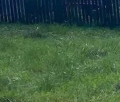 Продать Дачи, коттеджи, загородные дома Южный Версаль кп, 25   