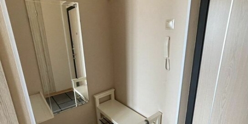 1-комн квартира Шуваловский пр-кт,  д. 63,  к. 1