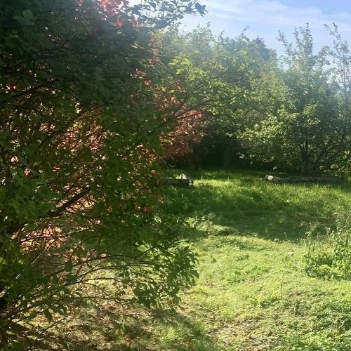 Коттедж/дом Синявино-2 садовое товарищество, Соловей СНТ, 3-я линия, 38