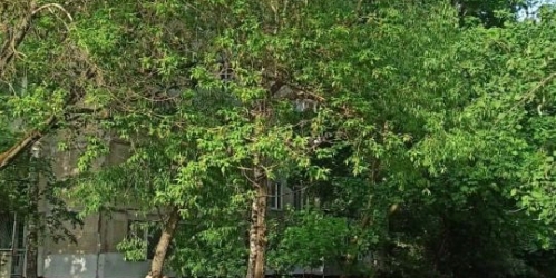 4-комн квартира улица Плещеева,  д. 11В