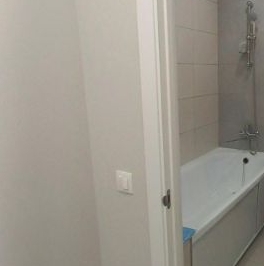 Аренда 1-комн квартиры на вторичном рынке пос. Шушары, проспект Старорусский, 11