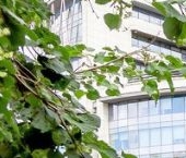 Продать Квартиры вторичка Олимпийский проспект, 12   