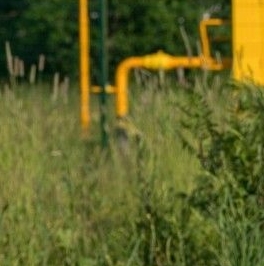 Продажа земли д. Горки (Веревское территориальное управление), улица Благодатная Продажа земли д. Горки (Веревское территориальное управление), улица Благодатная