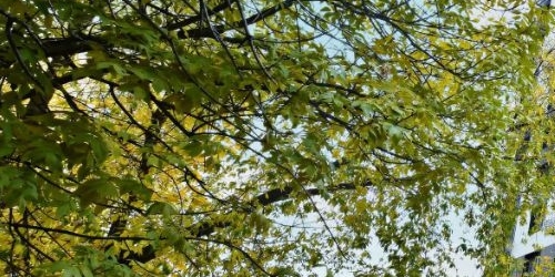 2-комн квартира Шереметьевская улица, 5К1