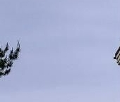 Продать Дачи, коттеджи, загородные дома пос. Ленинское, улица Рубиновая, 1   