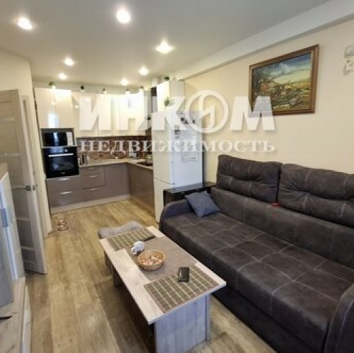 1-комн квартира Богородский городской округ, улица Чехова,  д. 4