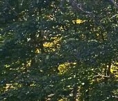 Продать Квартиры вторичка набережная Реки Фонтанки, 164   