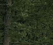 Продать Квартиры вторичка улица Удальцова, 6   