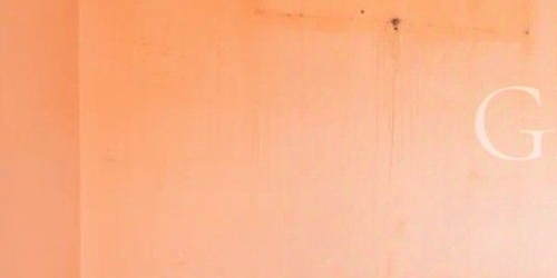 4-комн квартира Плетешковский переулок, 8С2