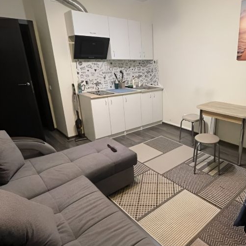 Студия пос. Шушары, проспект Старорусский, 13к1