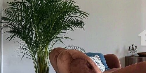 2-комн квартира улица Тимура Фрунзе, 18