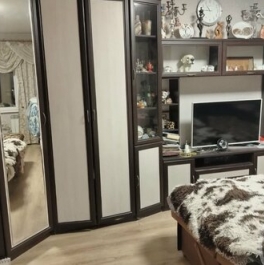 Продажа 1-комн квартиры на вторичном рынке Сестрорецк г, Дубковское ш,  д. 34