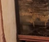 Продать Квартиры вторичка Лечебная улица, 19   