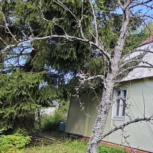 Коттедж/дом Пупышево садоводческий массив, Хрусталь СНТ, 4-я линия, 123