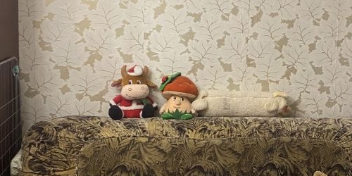 2-комн квартира Халтуринская улица, 17