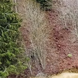 Продажа земли д. Юкки, шоссе Ленинградское Продажа земли д. Юкки, шоссе Ленинградское