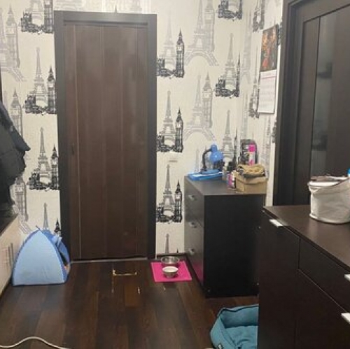 1-комн квартира Голицыно, б-р Генерала Ремезова,  д. 10