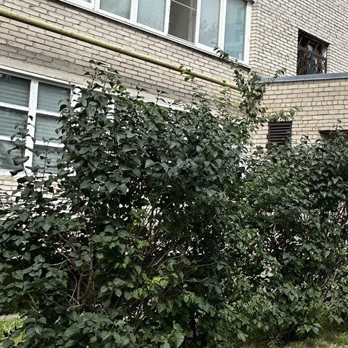 1-комн квартира Центральный мкр, улица 25 лет Октября, 2