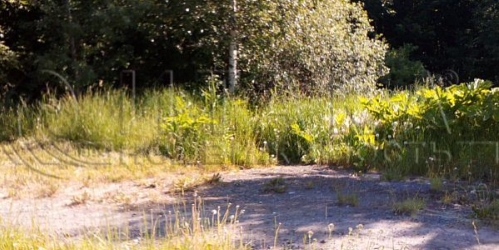 Земельный участок Парголово, Ломоносова ул.