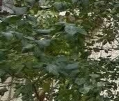 Продать Квартиры вторичка Имени А.М. Маркова мкр  33 