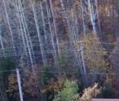 Продать Земельные участки, земля Прогресс-1 СНТ, 378   