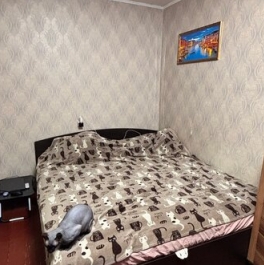 Продажа 1-комн квартиры на вторичном рынке Низино, Центральная улица,  д. 1