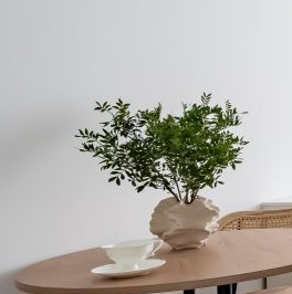 Аренда студии проспект Ветеранов, 198с1