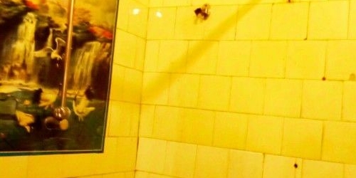 3-комн квартира Софийская улица, 40К3