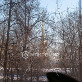 Продажа 2-комн квартиры на вторичном рынке Кронверкский пр-кт