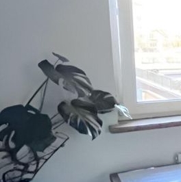 Продажа 3-комн квартиры на вторичном рынке Ново-Александровская улица, 14 Продажа 3-комн квартиры на вторичном рынке Ново-Александровская улица, 14