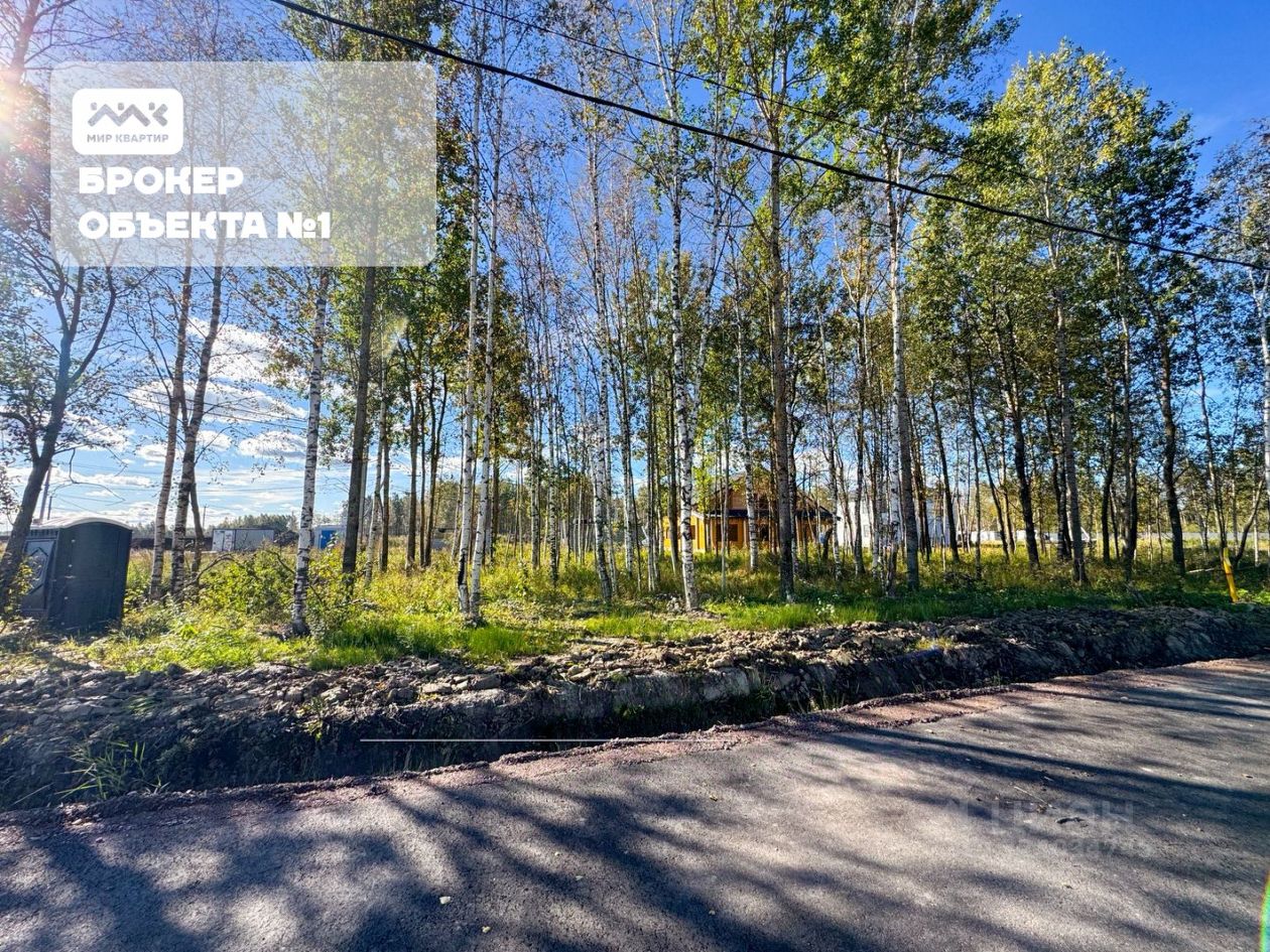 Продажа земли Павловск, Березовая улица